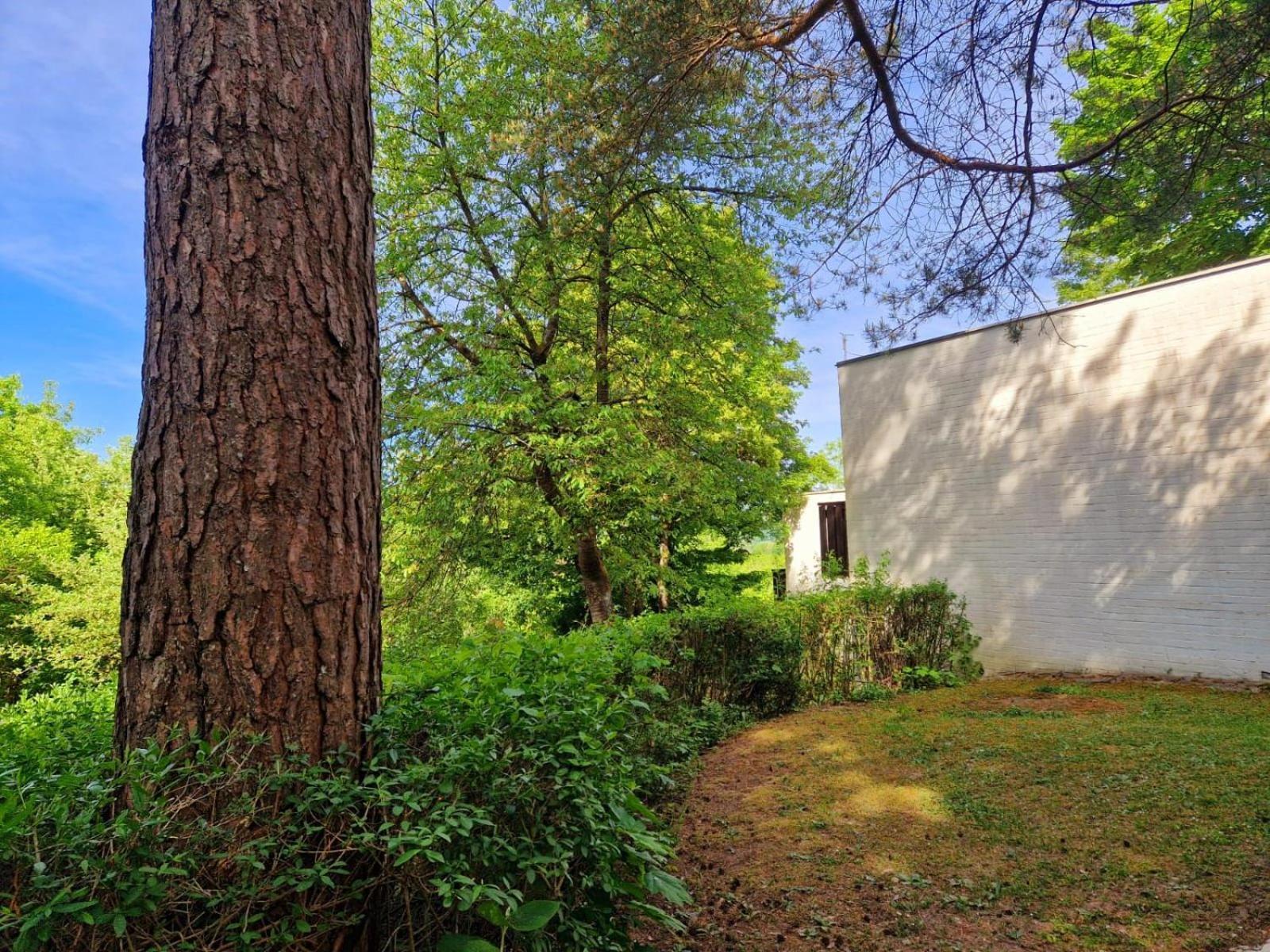 Berg-Bungalows Leinleitertal Heiligenstadt in Oberfranken Eksteriør bilde